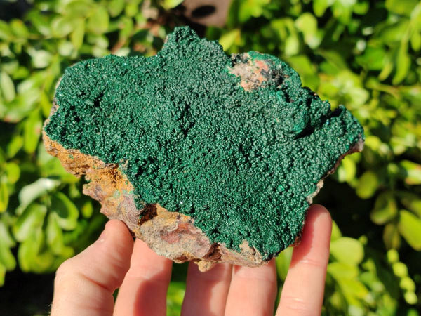 Natural Crystalline Malachite Specimens x 3 From Congo