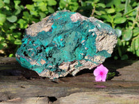Natural Crystalline Malachite Specimens x 3 From Congo