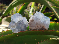 Natural Celestite Specimens x 20 From Sakoany, Madagascar