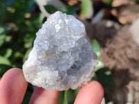 Natural Celestite Specimens x 20 From Sakoany, Madagascar