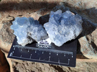 Natural Celestite Specimens x 20 From Sakoany, Madagascar
