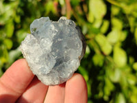 Natural Celestite Specimens x 20 From Sakoany, Madagascar