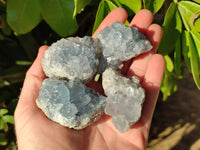 Natural Celestite Specimens x 20 From Sakoany, Madagascar
