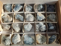 Natural Celestite Specimens x 20 From Sakoany, Madagascar