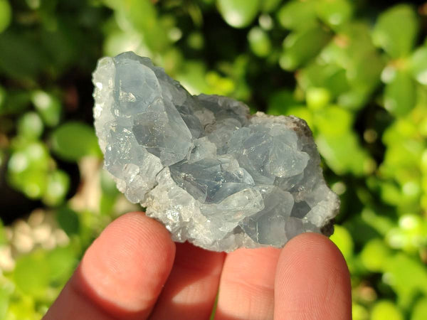 Natural Celestite Specimens x 20 From Sakoany, Madagascar