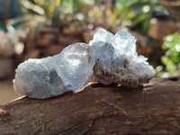 Natural Celestite Specimens x 20 From Sakoany, Madagascar