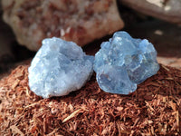 Natural Celestite Specimens x 20 From Sakoany, Madagascar