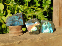 Polished On One Side Labradorite x 35 From Tulear, Madagascar - Toprock Gemstones and Minerals 