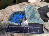Polished On One Side Labradorite x 35 From Tulear, Madagascar - Toprock Gemstones and Minerals 