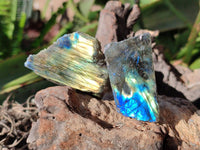 Polished On One Side Labradorite x 35 From Tulear, Madagascar - Toprock Gemstones and Minerals 