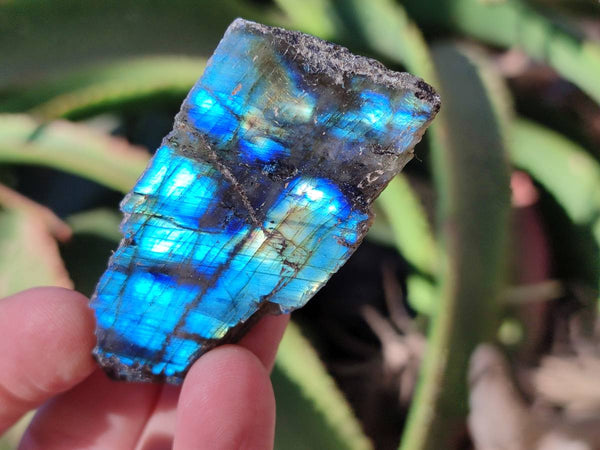 Polished On One Side Labradorite x 35 From Tulear, Madagascar - Toprock Gemstones and Minerals 