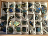 Polished On One Side Labradorite x 35 From Tulear, Madagascar - Toprock Gemstones and Minerals 