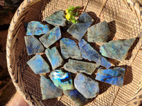 Polished On One Side Labradorite x 35 From Tulear, Madagascar - Toprock Gemstones and Minerals 