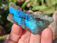 Polished On One Side Labradorite x 35 From Tulear, Madagascar - Toprock Gemstones and Minerals 