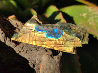 Polished On One Side Labradorite x 35 From Tulear, Madagascar - Toprock Gemstones and Minerals 