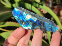 Polished On One Side Labradorite x 35 From Tulear, Madagascar - Toprock Gemstones and Minerals 