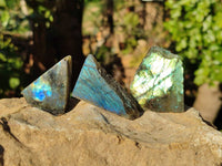 Polished On One Side Labradorite x 35 From Tulear, Madagascar - Toprock Gemstones and Minerals 