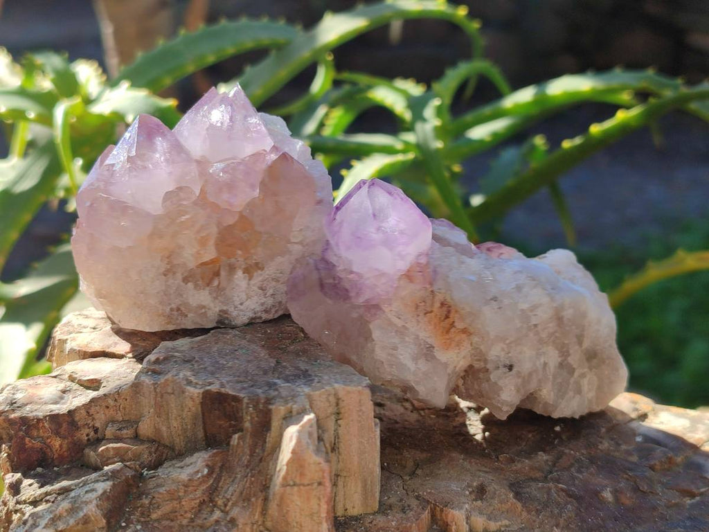 Natural Amethyst Spirit Quartz Clusters x 12 From Boekenhouthoek, South Africa - Toprock Gemstones and Minerals 