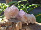 Natural Amethyst Spirit Quartz Clusters x 12 From Boekenhouthoek, South Africa - Toprock Gemstones and Minerals 