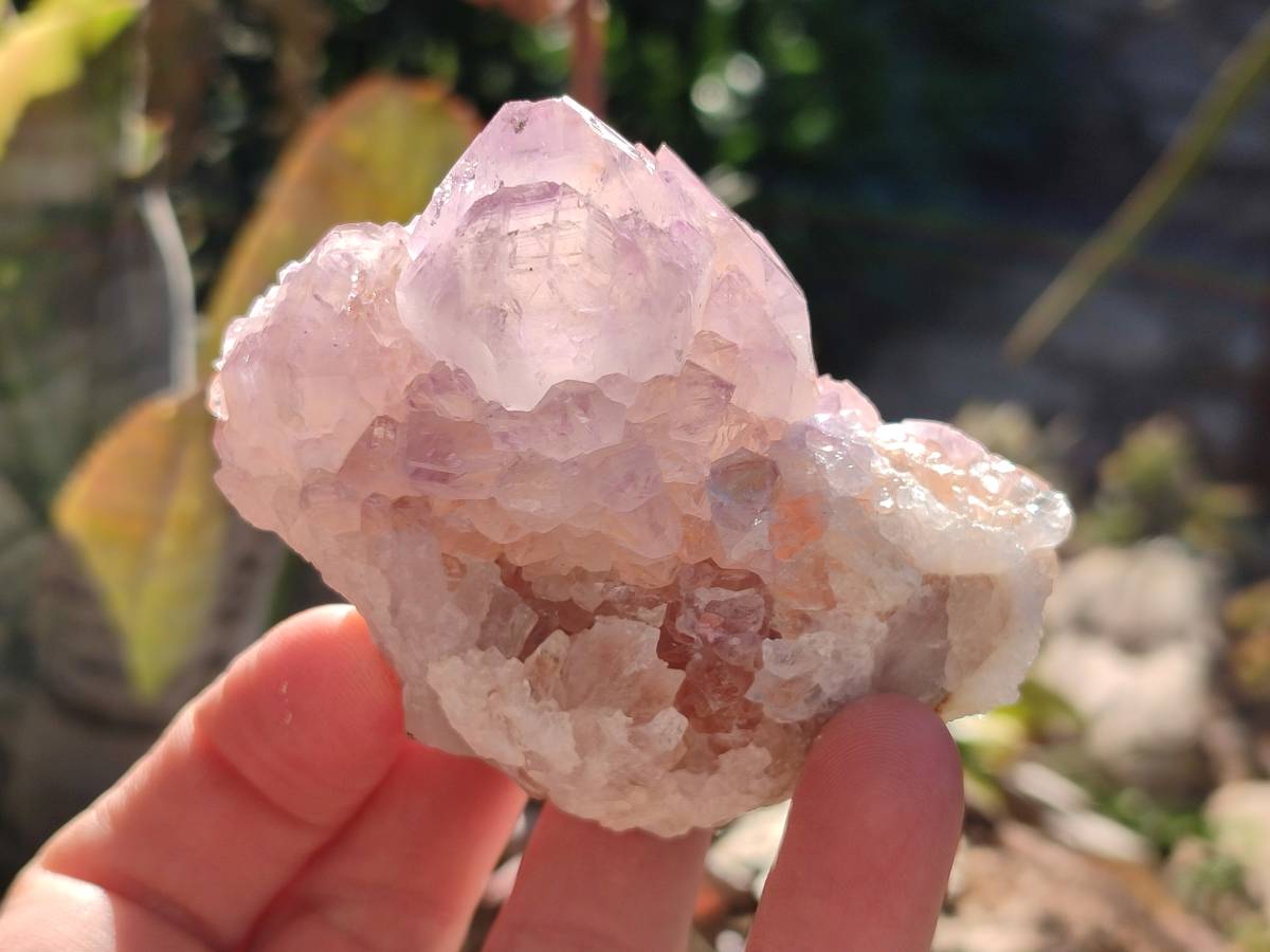 Natural Amethyst Spirit Quartz Clusters x 12 From Boekenhouthoek, South Africa - Toprock Gemstones and Minerals 