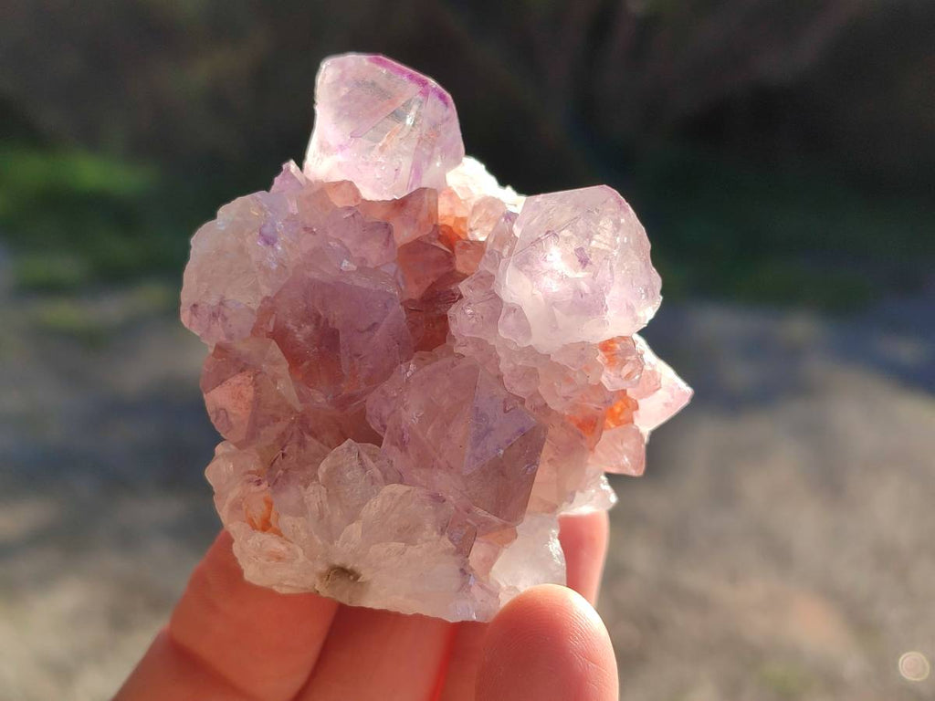 Natural Amethyst Spirit Quartz Clusters x 12 From Boekenhouthoek, South Africa - Toprock Gemstones and Minerals 