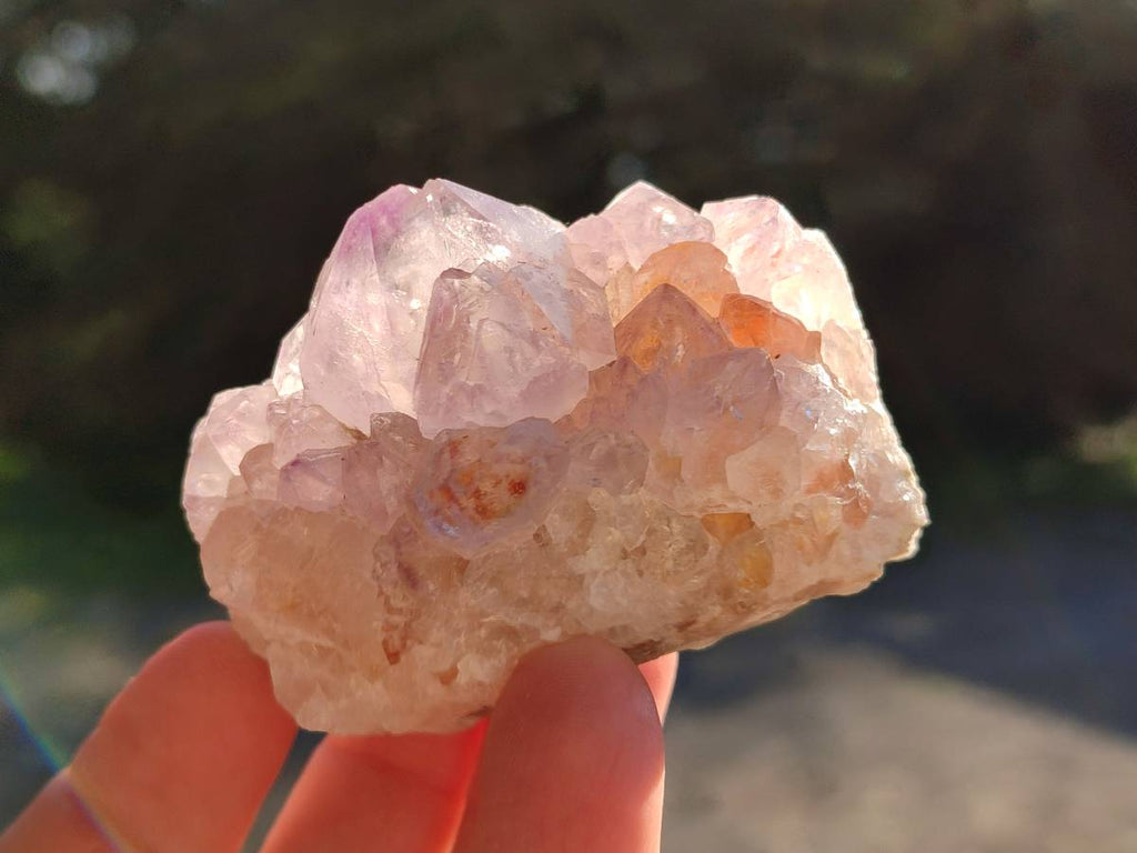 Natural Amethyst Spirit Quartz Clusters x 12 From Boekenhouthoek, South Africa - Toprock Gemstones and Minerals 