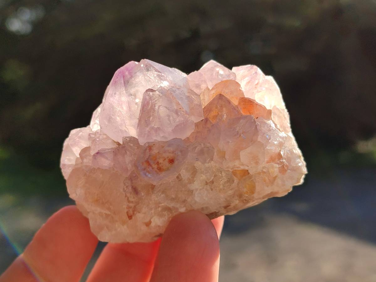 Natural Amethyst Spirit Quartz Clusters x 12 From Boekenhouthoek, South Africa - Toprock Gemstones and Minerals 