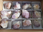 Natural Amethyst Spirit Quartz Clusters x 12 From Boekenhouthoek, South Africa - Toprock Gemstones and Minerals 