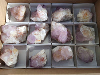Natural Amethyst Spirit Quartz Clusters x 12 From Boekenhouthoek, South Africa