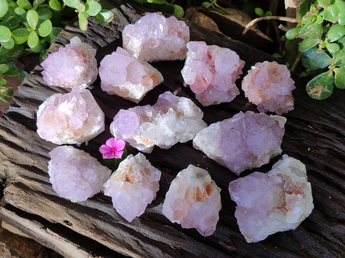 Natural Amethyst Spirit Quartz Clusters x 12 From Boekenhouthoek, South Africa - Toprock Gemstones and Minerals 