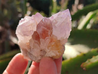 Natural Amethyst Spirit Quartz Clusters x 12 From Boekenhouthoek, South Africa