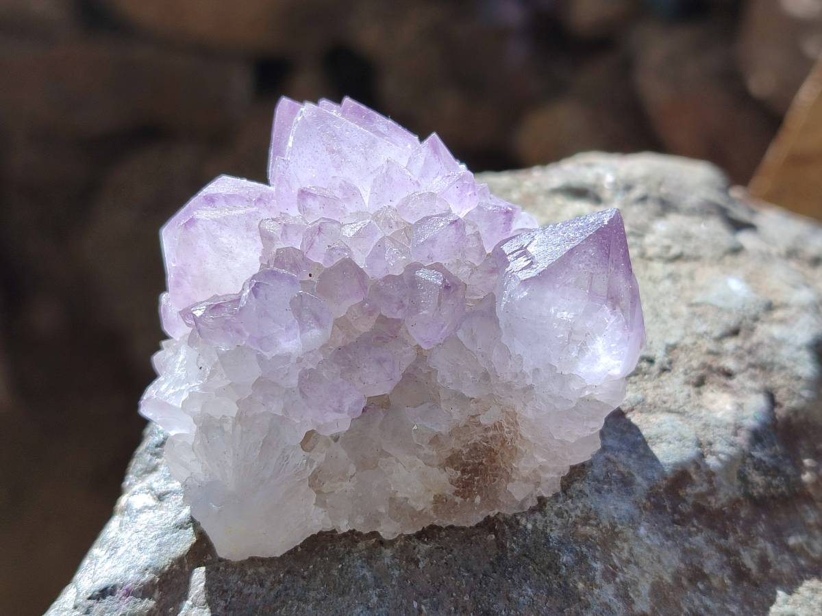Natural Amethyst Spirit Quartz Clusters x 12 From Boekenhouthoek, South Africa - Toprock Gemstones and Minerals 