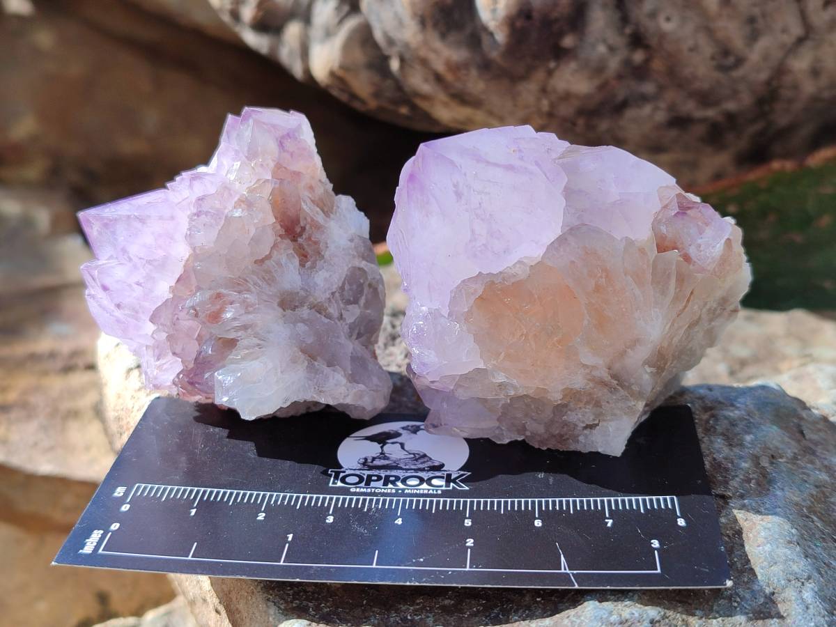 Natural Amethyst Spirit Quartz Clusters x 12 From Boekenhouthoek, South Africa - Toprock Gemstones and Minerals 