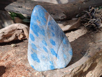 Polished Blue Spinel Spotted Standing Leaf Sculptures x 2 From Madagascar