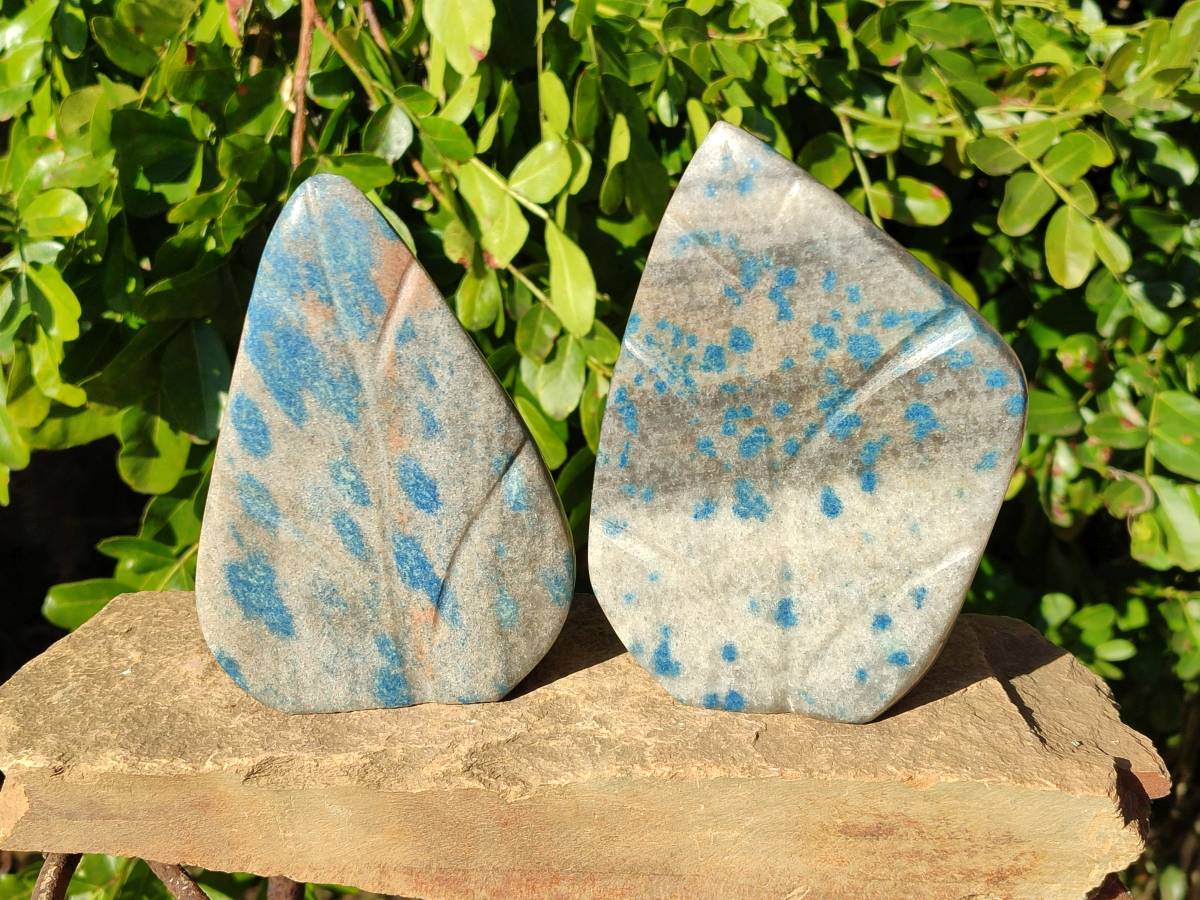 Polished Blue Spinel Spotted Standing Leaf Sculptures x 2 From Madagascar - Toprock Gemstones and Minerals 
