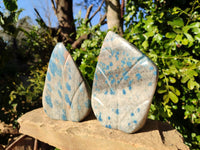 Polished Blue Spinel Spotted Standing Leaf Sculptures x 2 From Madagascar