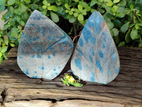 Polished Blue Spinel Spotted Standing Leaf Sculptures x 2 From Madagascar