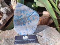 Polished Blue Spinel Spotted Standing Leaf Sculptures x 2 From Madagascar