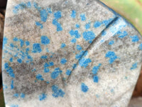 Polished Blue Spinel Spotted Standing Leaf Sculptures x 2 From Madagascar