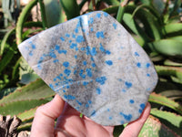 Polished Blue Spinel Spotted Standing Leaf Sculptures x 2 From Madagascar