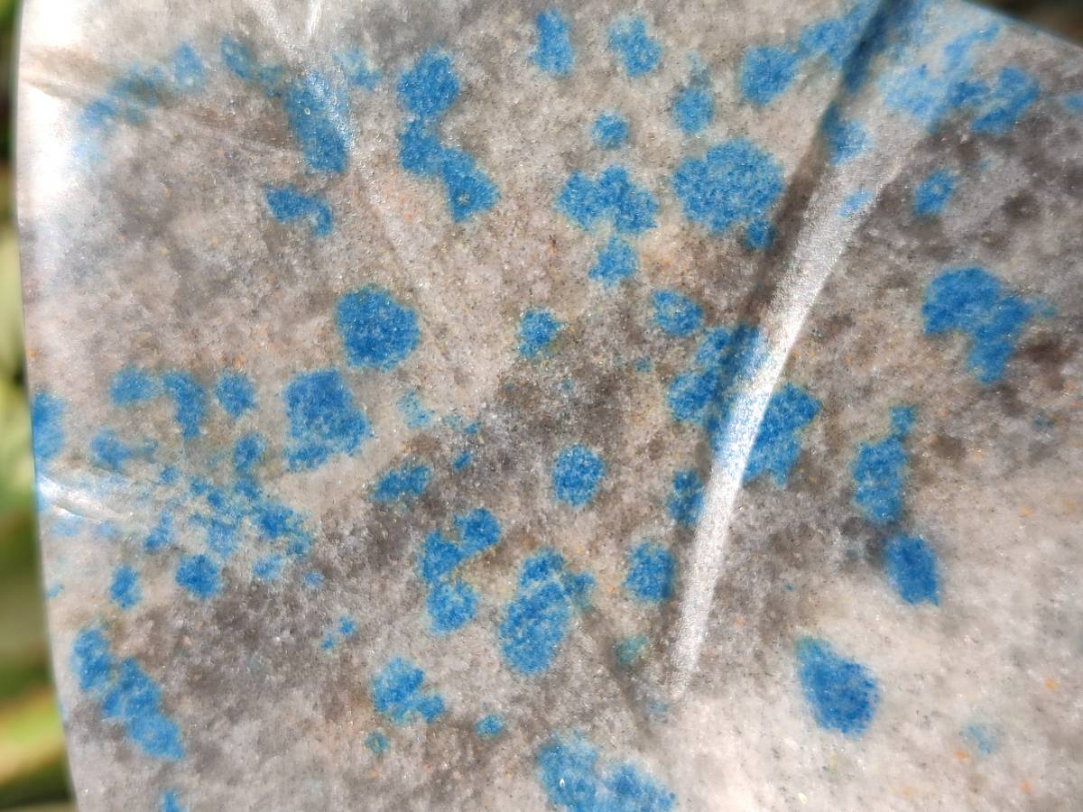 Polished Blue Spinel Spotted Standing Leaf Sculptures x 2 From Madagascar - Toprock Gemstones and Minerals 