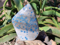 Polished Blue Spinel Spotted Standing Leaf Sculptures x 2 From Madagascar