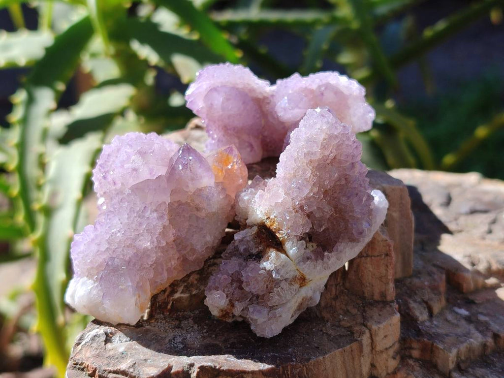 Natural Amethyst Spirit Quartz Specimens x 35 From Boekenhouthoek, South Africa - Toprock Gemstones and Minerals 