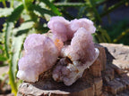Natural Amethyst Spirit Quartz Specimens x 35 From Boekenhouthoek, South Africa - Toprock Gemstones and Minerals 