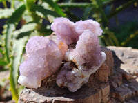 Natural Amethyst Spirit Quartz Specimens x 35 From Boekenhouthoek, South Africa