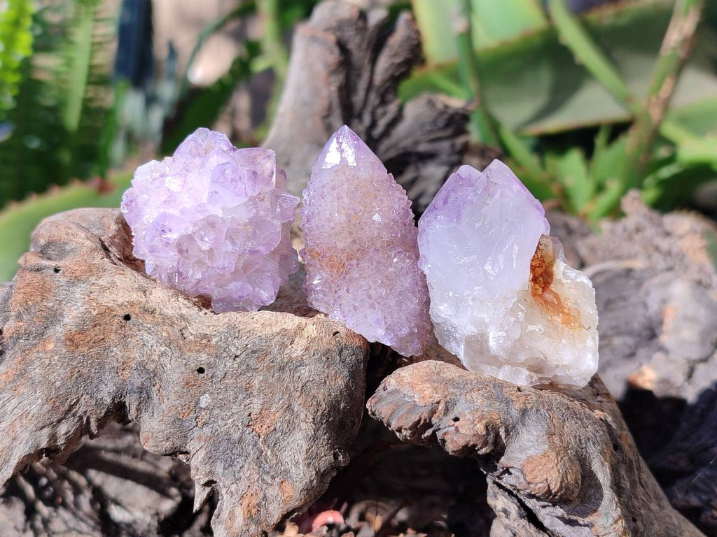 Natural Amethyst Spirit Quartz Specimens x 35 From Boekenhouthoek, South Africa - Toprock Gemstones and Minerals 