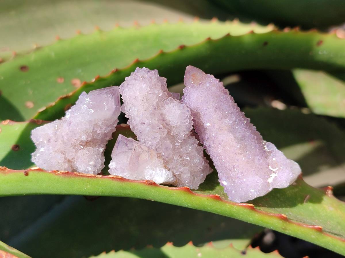 Natural Amethyst Spirit Quartz Specimens x 35 From Boekenhouthoek, South Africa - Toprock Gemstones and Minerals 