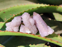 Natural Amethyst Spirit Quartz Specimens x 35 From Boekenhouthoek, South Africa