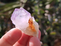 Natural Amethyst Spirit Quartz Specimens x 35 From Boekenhouthoek, South Africa