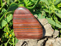 Polished Banded Tiger Iron Standing Free Forms x 4 From South Africa